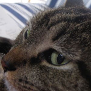 Meet your Posher, Bonnie